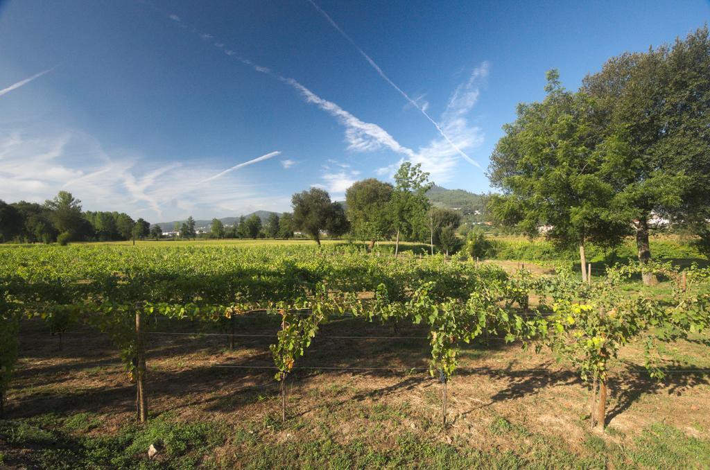 1720 Quinta Da Cancela - Winery & Farmhouse Γκιμαράες Εξωτερικό φωτογραφία