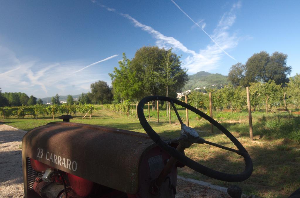 1720 Quinta Da Cancela - Winery & Farmhouse Γκιμαράες Εξωτερικό φωτογραφία